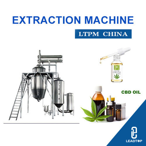 Últimas noticias de la empresa sobre Lesotho cobra adentro en auge medicinal del cáñamo mientras que la empresa británica abre la fábrica de CBD