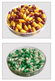 Buen precio La talla 3 farmacéutica del grado vacia cápsulas del gel del ganado deshuesa la gelatina en línea