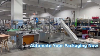 Máquina estuchadora rotativa vertical ZH100