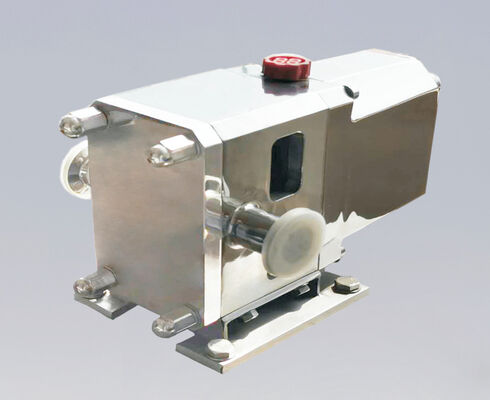 Buen precio Bomba de rotor de camas de alta viscosidad para manejo de lodos sanitarios EHEDG Certificado CIP SIP listo diseño de corte bajo para procesamiento químico de alimentos farmacéuticos en línea