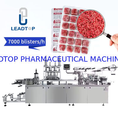 Buen precio Máquina envasadora de blísteres personalizable con control PLC 30-60 piezas/min en línea