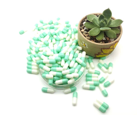 Buen precio Las cápsulas vacías farmacéuticas del gel de la gelatina HPMC del grado se separaron en línea